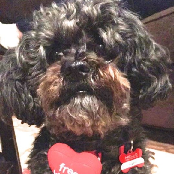 Meet your Posher, Susan - Picture 2 of 2